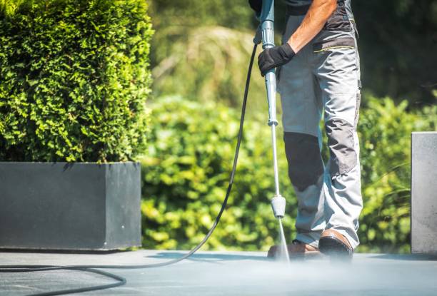 Best Animal Enclosure Cleaning  in Vernon Hls, IL