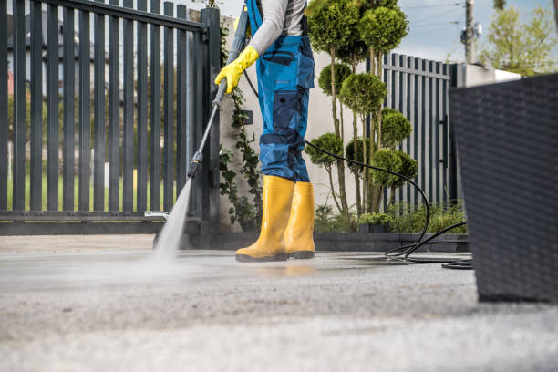 Best Dumpster Area Cleaning  in Vernon Hls, IL